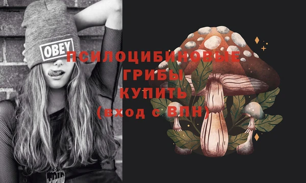 амфетамин Нязепетровск